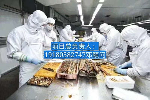 普瑞玛扳手泵 报价、厂家与软件代理服务全解析